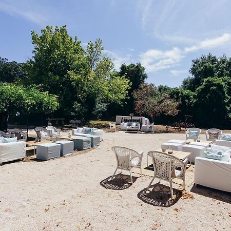Гостьовий будинок Quinta Do Tojal Феррейра-ду-Зезере Екстер'єр фото