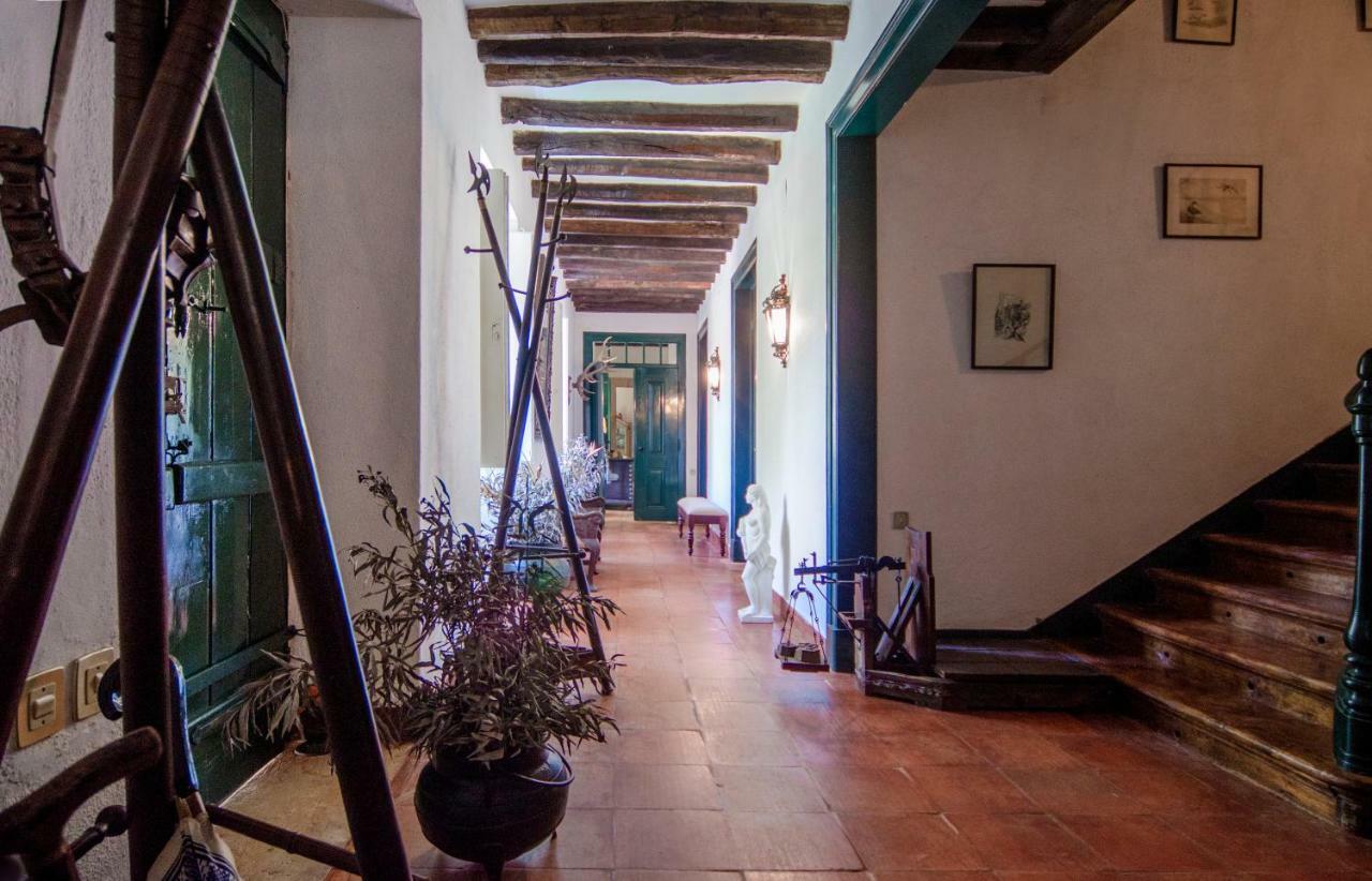 Гостьовий будинок Quinta Do Tojal Феррейра-ду-Зезере Екстер'єр фото